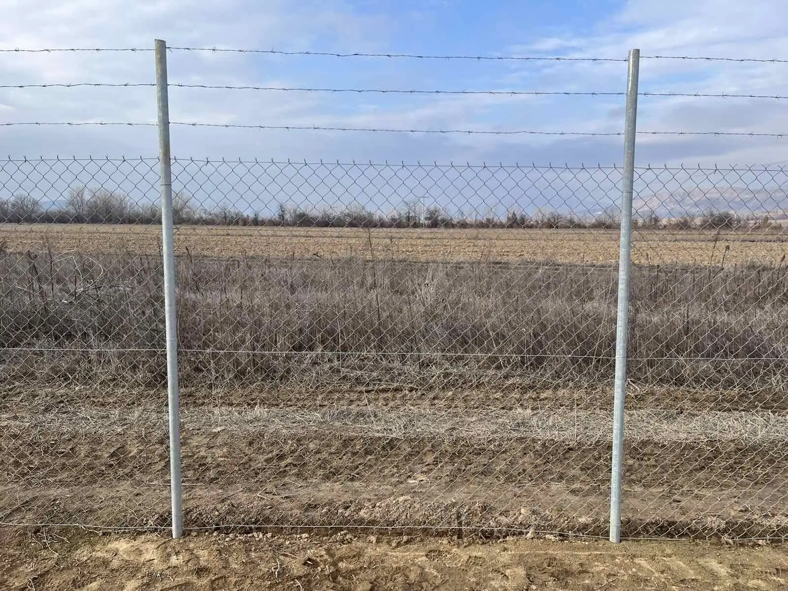 Galvanized fence posts and mesh