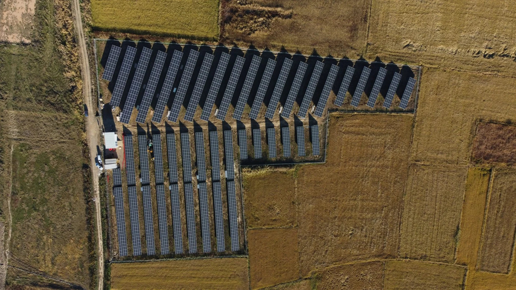 Overhead photograph of rows of photovoltaic modules